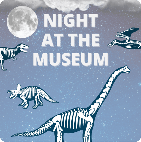 A card with dinosaurs, stars, a moon and the text Night at the museum
