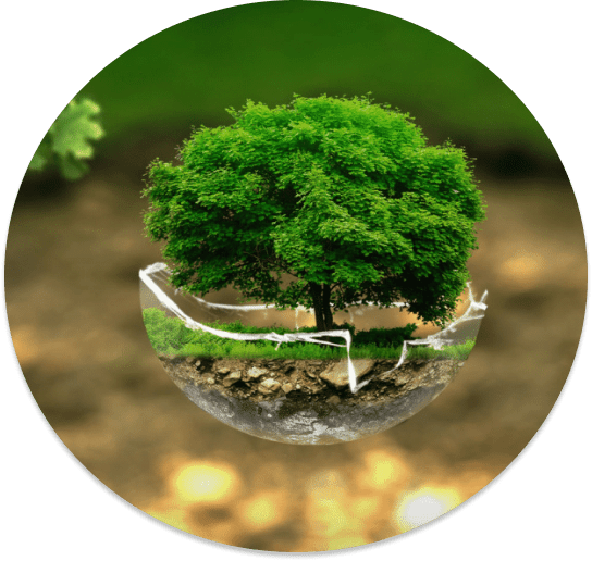 a circular photo of a tree in a shattered glass bubble