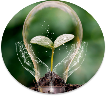 A picture of a sprouting seedling with drawn hands holding it.